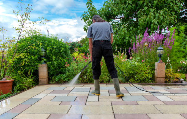 Best Driveway Pressure Washing  in Wenona, IL